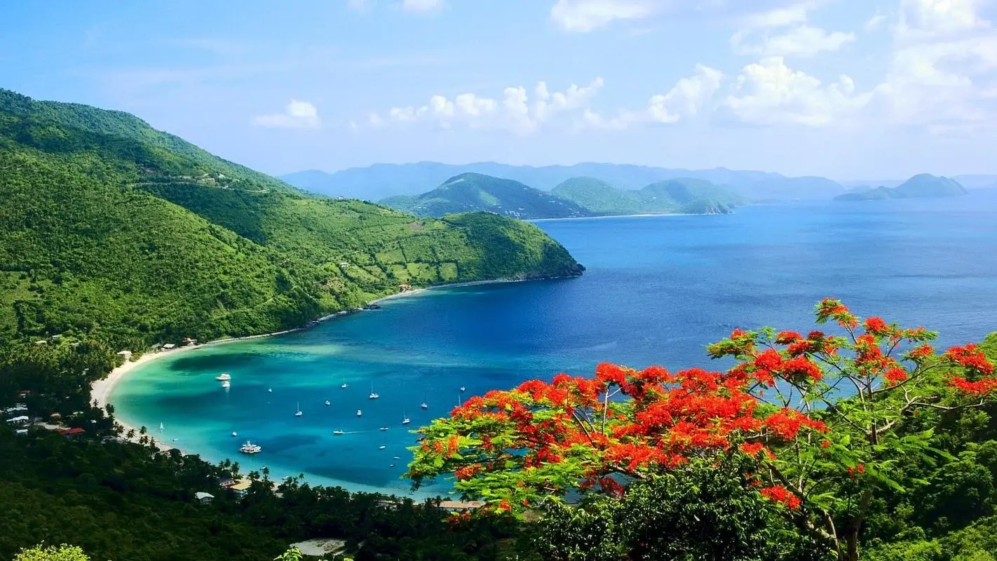 高效高效