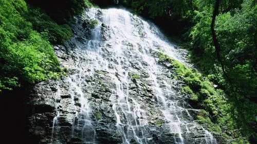 高效数字化高性能